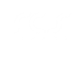 RCS Tech LLP